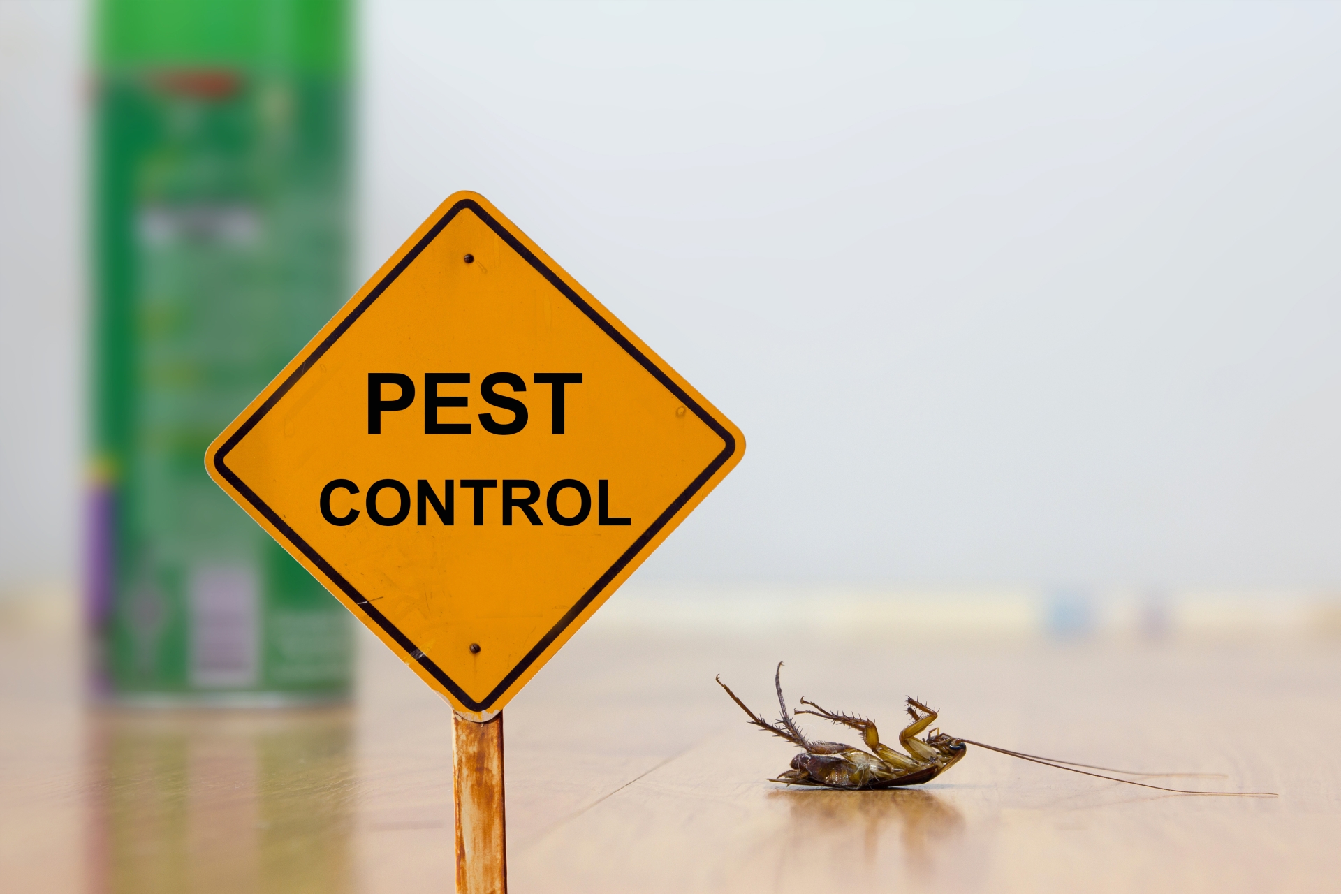 24 Hour Pest Control, Pest Control in Leyton, E10. Call Now 020 8166 9746